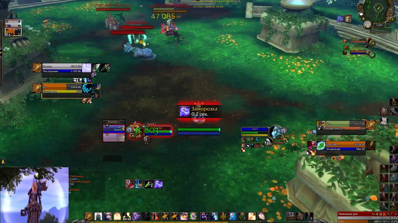 Arena 2v2 DPriest+Feral vs BMHunter+RDru Patch 7.3.5