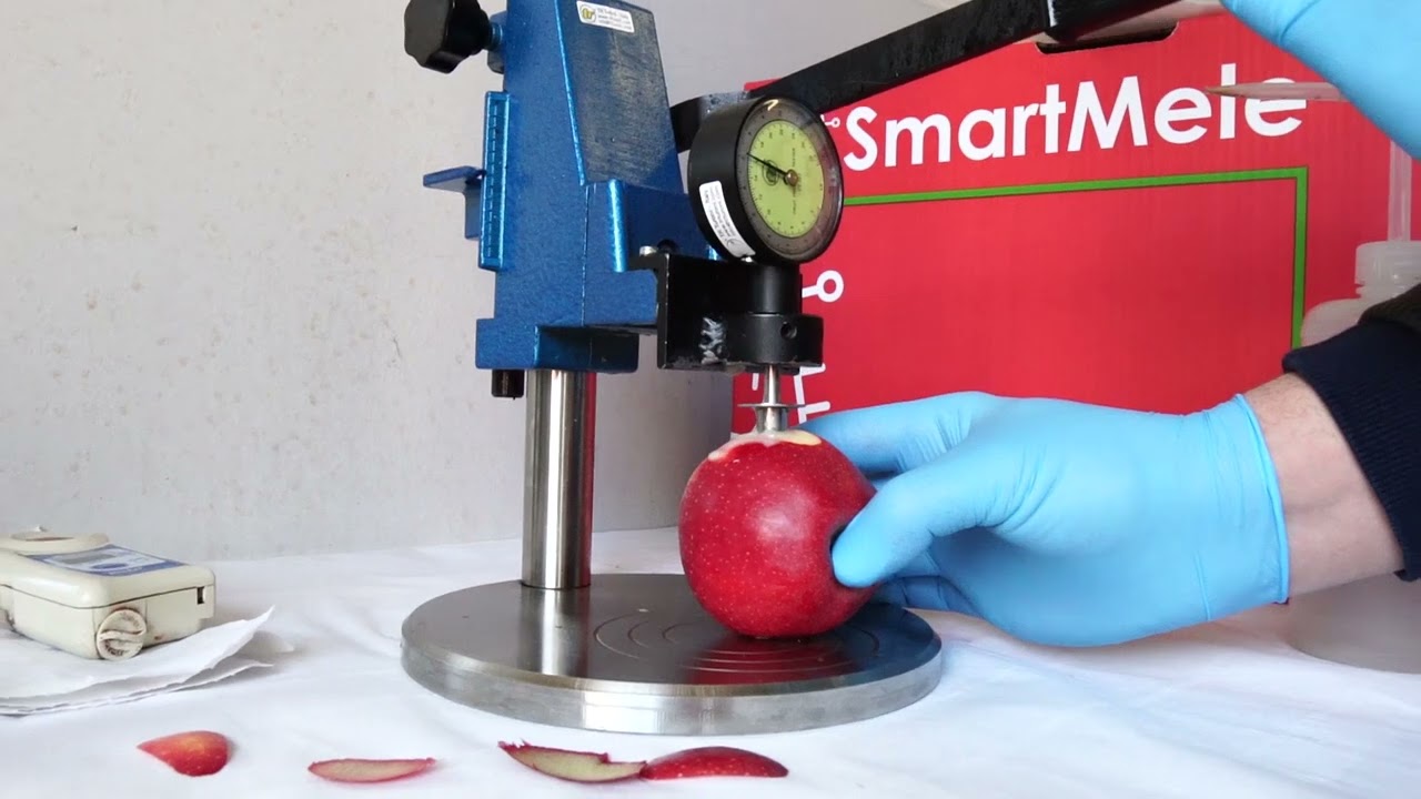 Smartmele - storytelling istituzionale
