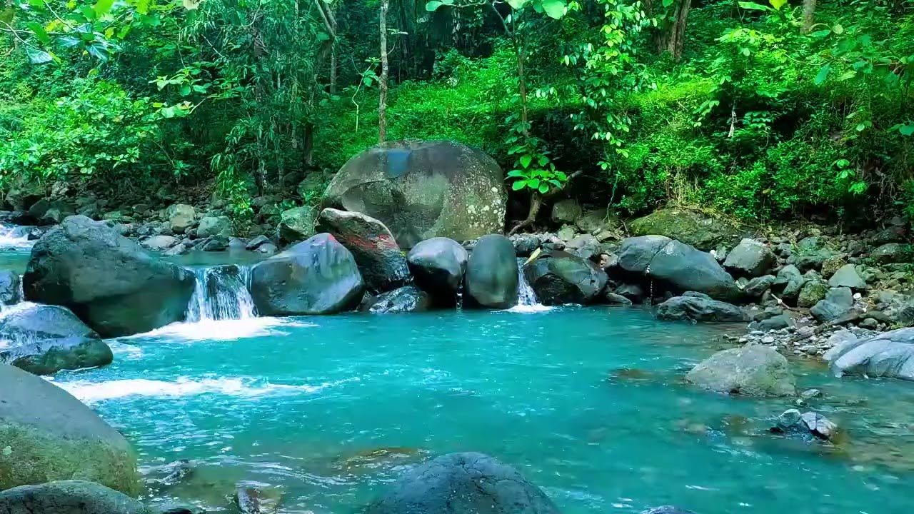 Tranquility and Natural Beauty | Find Your Center with Nature's Harmony