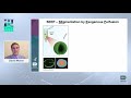2021 Three-minute Talk (TmT) - David Morse, B.A., Predoc, NCATS