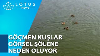 Göçmen Kuşlar Çi̇ni̇n Koruma Alanindaki̇ Gölüne Akin Edi̇yor