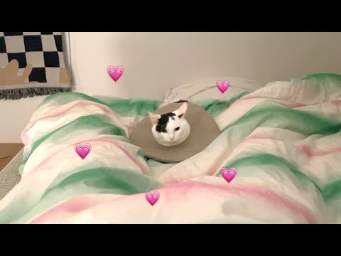 존버는 승리한다!!!!!! 다리 사이에서 자기까지 1년 9개월 🛌💗