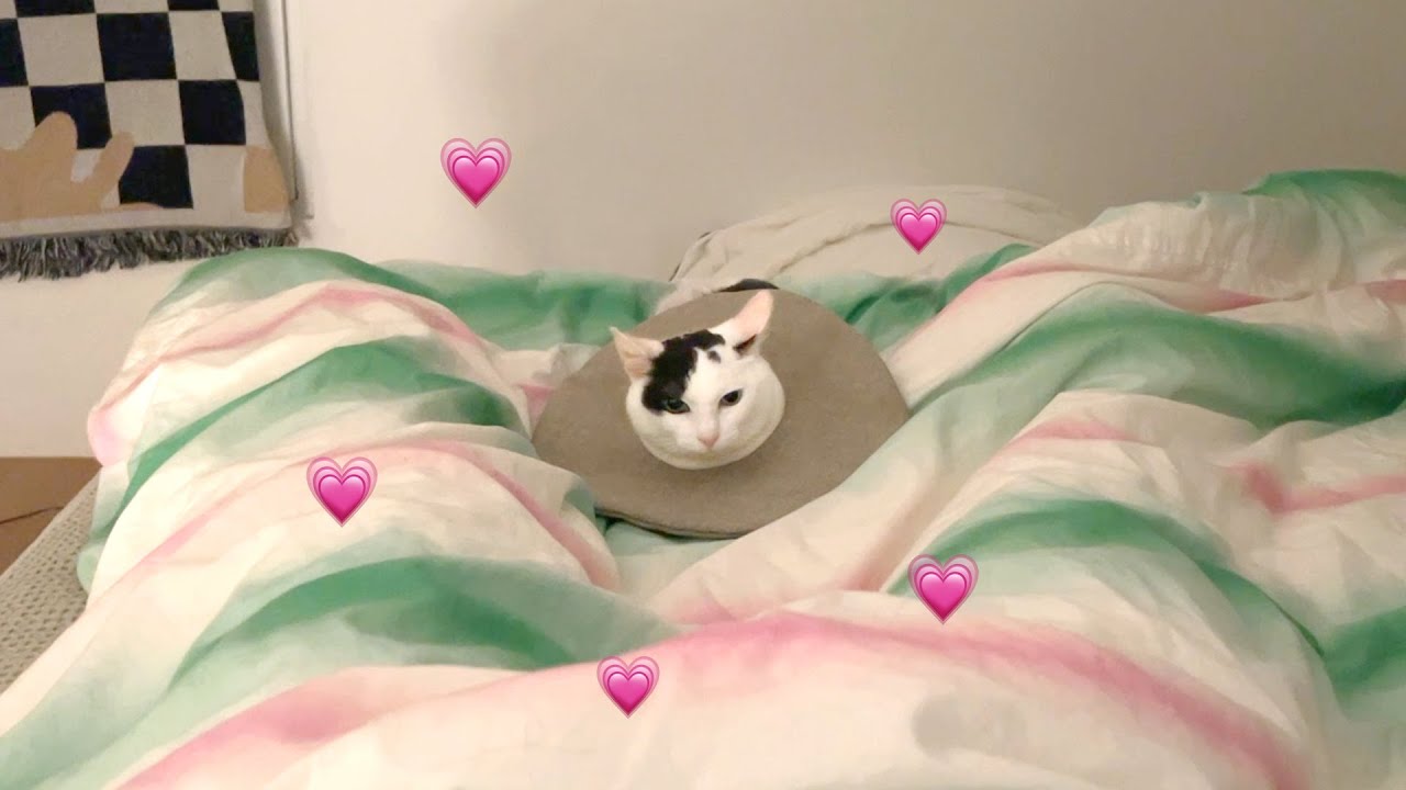 존버는 승리한다!!!!!! 다리 사이에서 자기까지 1년 9개월 🛌💗