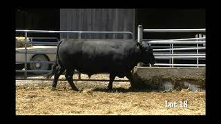 Hr Resource 155 - Lot 18