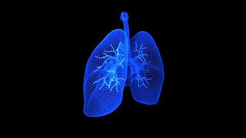 Thorax - 3D Wireframe - Spinning Formation