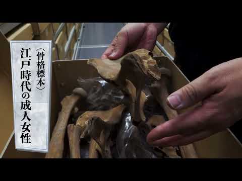 国立科学博物館 人類研究部 坂上和弘 インタビュー（2023年度クラウドファンディング「科博コレクション図鑑」特典動画）
