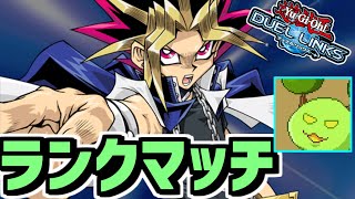 【遊戯王デュエルリンクス】キングになってもいいランクマッチ
