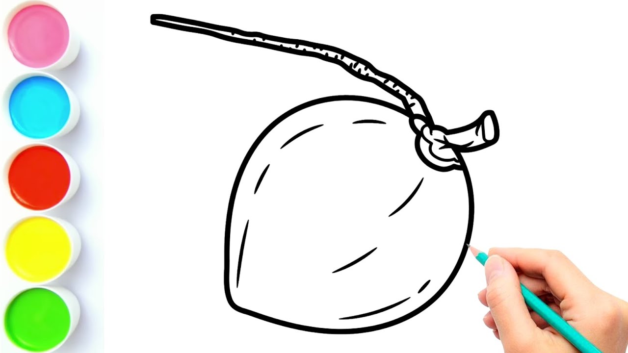 How to Draw Green Coconut | How to Draw Coconut | Coconut Drawing ...