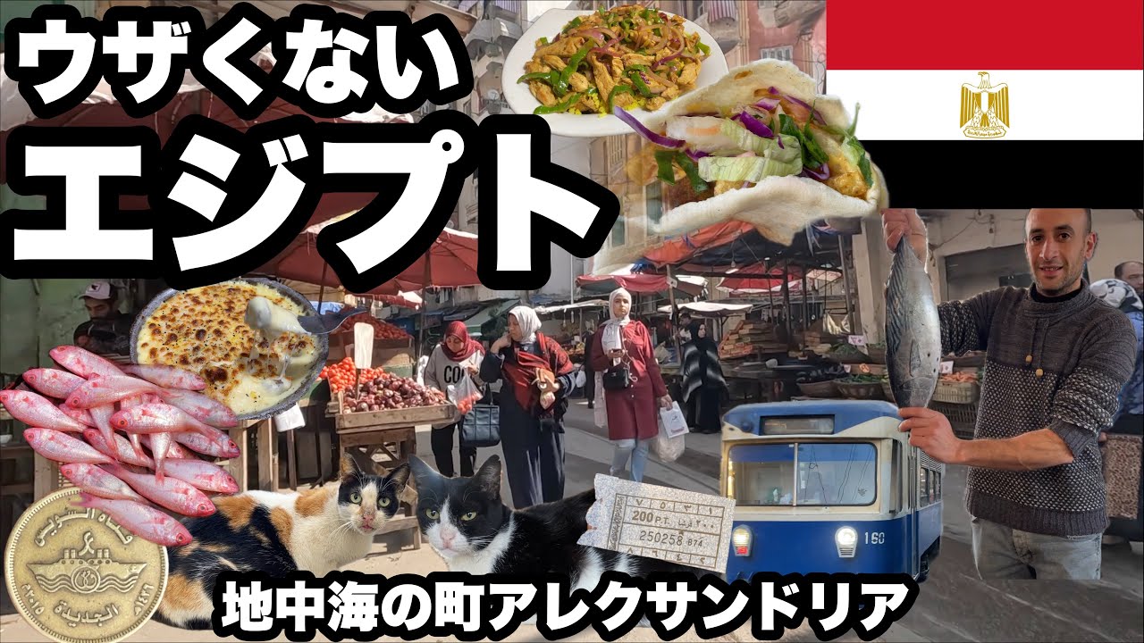【エジプト旅】アレクサンドリアでグルメ探し/ 町は綺麗な方で人は良い/ 猫多め/地中海の街