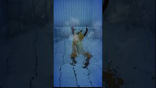 Cute Furry Foxgirl Splashing around