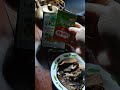 20 tahun bru mkn lg ikan pari👌🥰🥰🥰