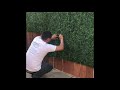 Putting fake grass on our fence #sunnydale #backyard #patiodecor #privacy