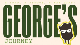 A Road, A Rescue, A New Life: George’s Journey to Safety