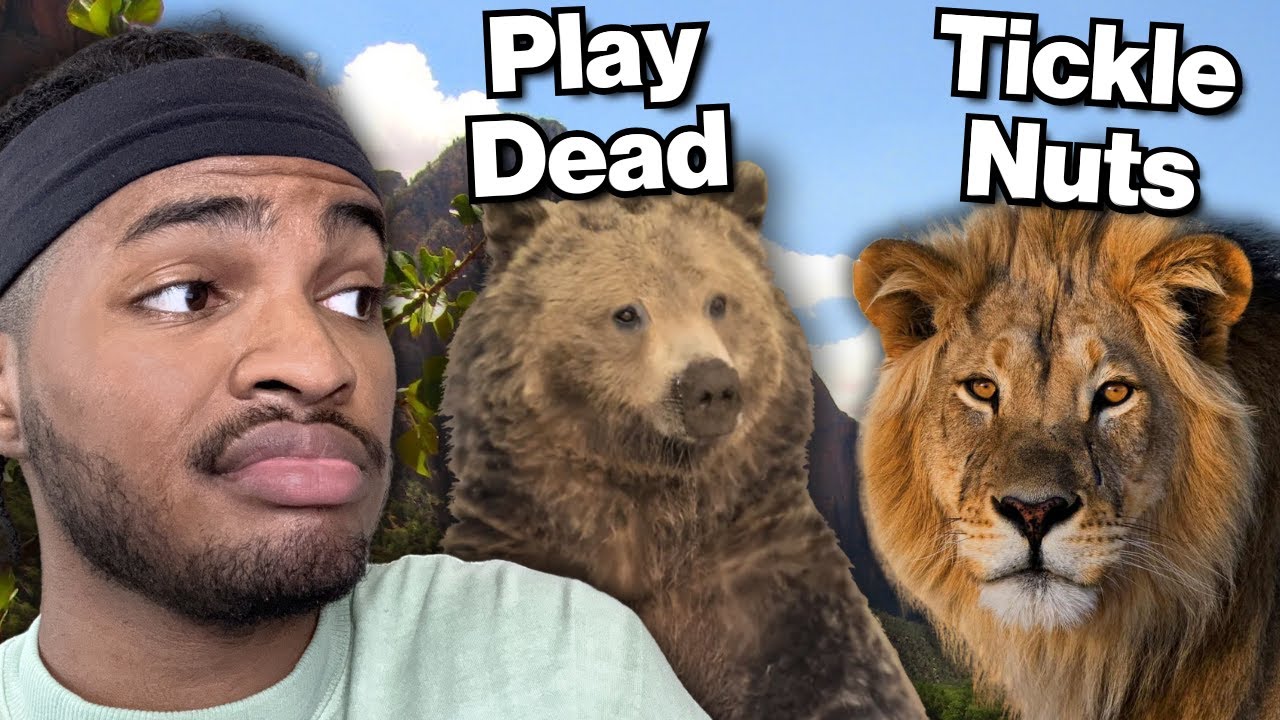 Как пережить КАЖДОЕ нападение животных