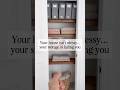 Amazon Home Organization Finds! Your House Isn’t Messy, Your Storage is Failing You!