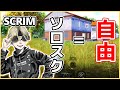 PMJL SCRIM!!! 1人でポイントを稼ぐOcO【PUBG MOBILE】