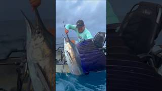 Most Dangerous Fish In The Ocean 🌊