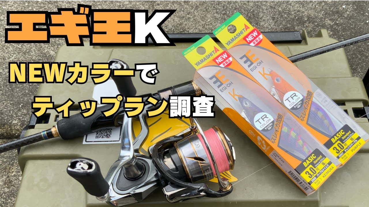 エギまとめ売り ケヴィン エギまとめ売り ケヴィン エギまとめ売り ケヴィン つり具の上州