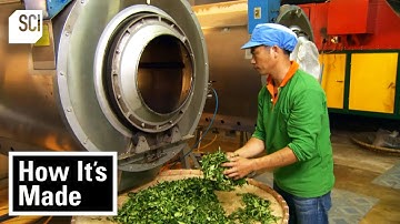 How Oolong Tea is Made! | How It