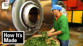 How Oolong Tea is Made! | How It's Made | Science Channel