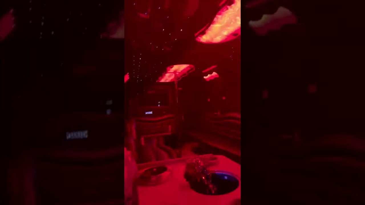 26-28 Pax Party Bus with Pole and Bathroom