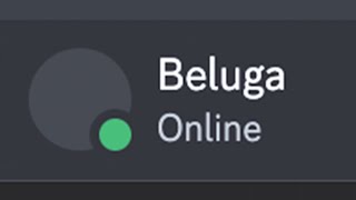 Never Use An Invisible Profile Picture... by Beluga 947,962 views 1 month ago 3 minutes, 16 seconds