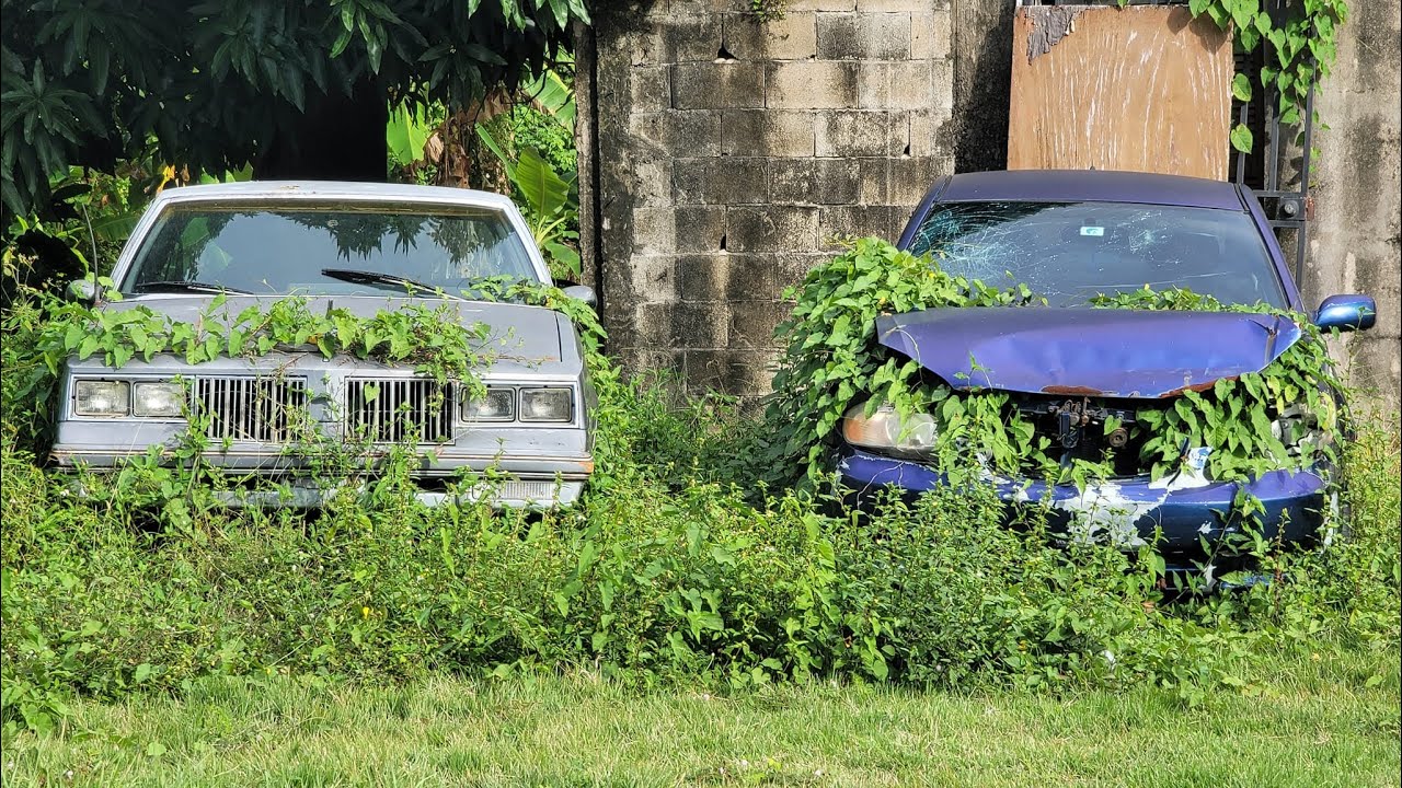 #13-2 Reserva Natural Bosque de Piñones, Playa Vacía Talega & El ...