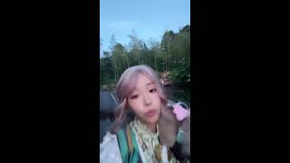 A Cozy Day Exploring China's Nature — English Chat Vlog ☀️🌿