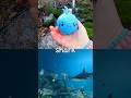 Toy Learning Fun | Kids Learn Sea Animal Names at the Waterfall: Shark Dolphin Pufferfish Turtle