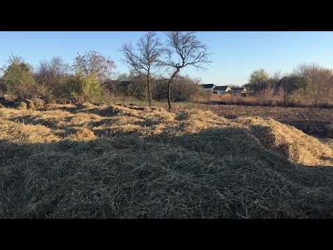 Разведение красного калифорнийского