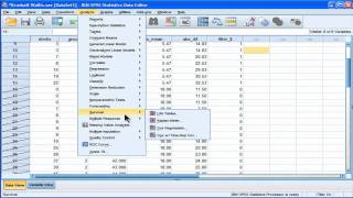 Kruskal-Wallis - SPSS (part 4)