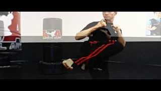 How to Do a Side Kick - Schafer's ATA Martial Arts