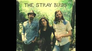 Video thumbnail of "The Stray Birds- "Wildflower Honey""