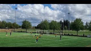 Gol Taven Vs Valor Soccer Premier Gold