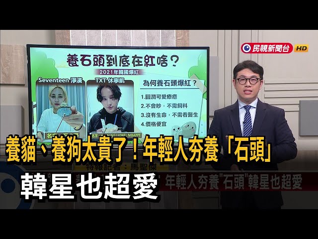 【新聞抓重點】養貓、養狗太貴了！年輕人夯養「石頭」 韓星也超愛－民視新聞