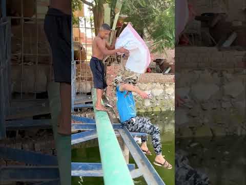 كواليس رقم 12 Short Shorts