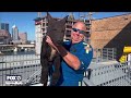 Florida's injured K9's can now be airlifted