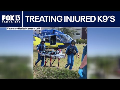 Florida's injured K9's can now be airlifted