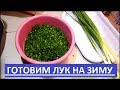 ГОТОВИМ ЗЕЛЁНЫЙ ЛУК НА ЗИМУ. КАК С ГРЯДКИ.