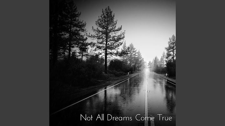 Not All Dreams Come True (2008)