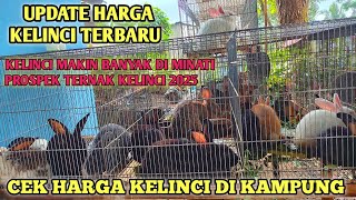 UPDATE HARGA KELINCI LOKAL - BLIGON - HYLA TERBARU 2025 • TERNAK KELINCI