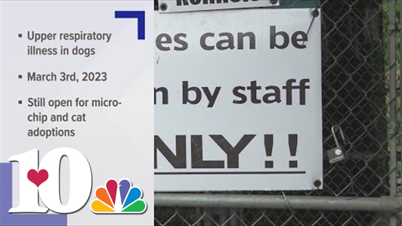 Monroe Co. animal shelter closed for two weeks after outbreak of upper respiratory illness in dogs