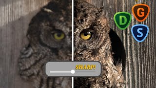 SHARPEN your SOFT IMAGES - Perfect for CROPPED or LOW RESOLUTION photos - Topaz Labs screenshot 5