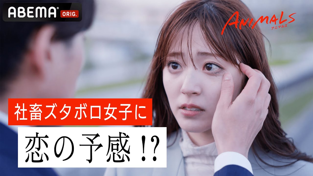 アバウトアニマルズ第二弾 新ドラマ特報第2弾【ANIMALS-アニマルズ-】🐯💄恋なし×夢なし×彼氏なし