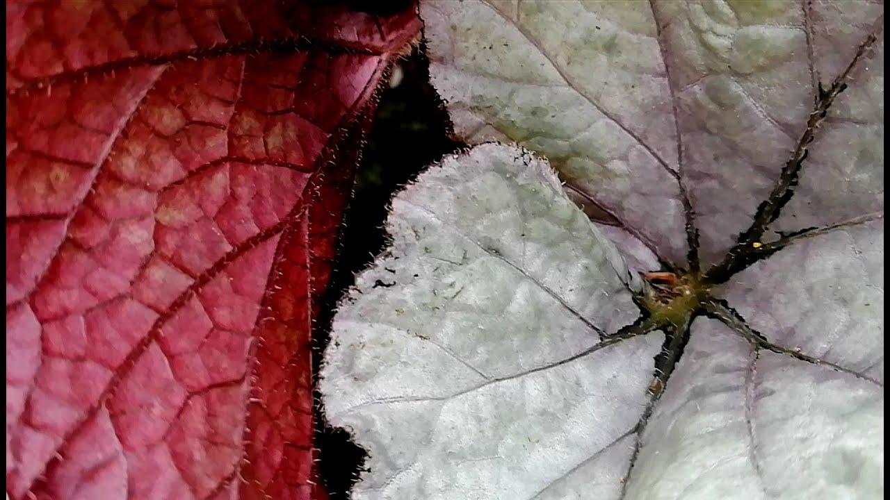 Dip your toe in the water I Nikolaj Henriques (Discussion 48) I The Musik Link