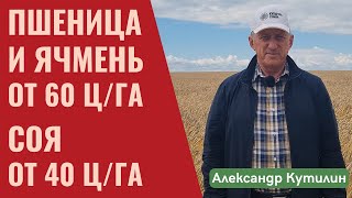 видео: Как добиться БОГАТОГО УРОЖАЯ в Сибири в 2025 году. картинка: Как добиться БОГАТОГО УРОЖАЯ в Сибири в 2025 году.