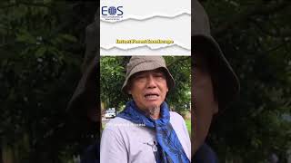 Asia Pacific FSC Remedy: Intact Forest Landscape Intro