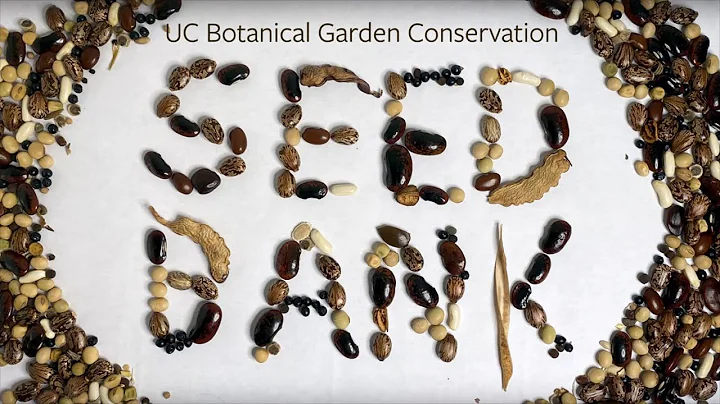 Seed Bank: Conservation at the UC Botanical Garden