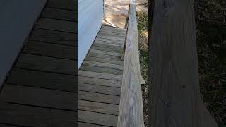 Ten Years of Neglected Deck Being Transformed