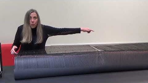 31 Transverse and longitudinal wave